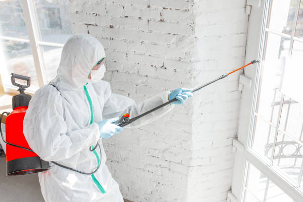 Best Forensic Mold Investigation in USA